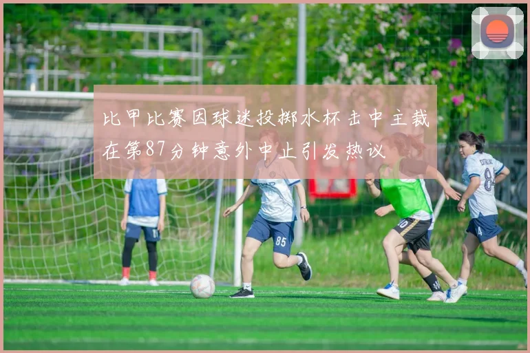 比甲比赛因球迷投掷水杯击中主裁在第87分钟意外中止引发热议