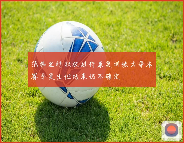 范弗里特积极进行康复训练力争本赛季复出但结果仍不确定
